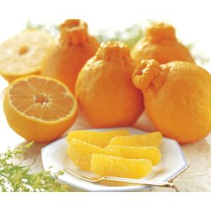 2026年2月分予約 有機JAS 佐賀県産 不知火( デコポン )  約2.8kg 訳あり でこぽ...