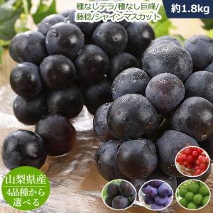 【全額返金】 山梨県産 ぶどう 1.8kg 種なし デラウェア 巨峰 藤稔 シャインマス...