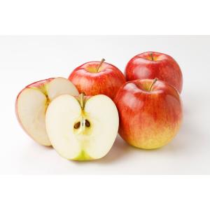全額返金保証 減農薬 葉とらず りんご 4.5kg 訳あり シナノリップ サンつがる シナノドルチェ...