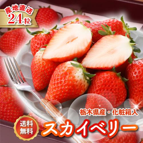 いちご イチゴ スカイベリー フルーツ ギフト 苺 栃木県 スカイベリー 24粒 800g 化粧箱入...