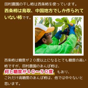 全額返金保証 最高糖度50度 低農薬 あんぽ柿...の詳細画像4