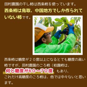全額返金保証 最高糖度70度 低農薬 鳥取産 ...の詳細画像3