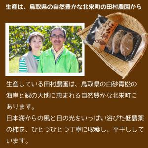 全額返金保証 最高糖度70度 低農薬 鳥取産 ...の詳細画像2