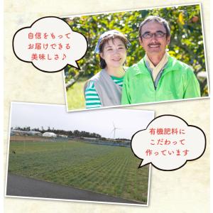 6月分予約 減農薬 鳥取 根付 らっきょう 2...の詳細画像4