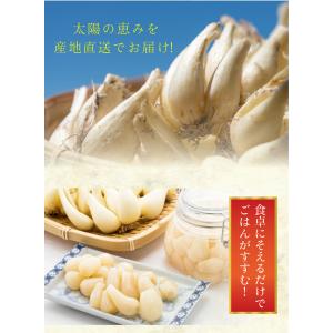 6月分予約 減農薬 鳥取 根付 らっきょう 2...の詳細画像5