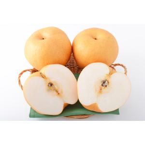 2026年10月分予約 低農薬 鳥取産 新興梨 約4.5キロ 贈答用 10~14玉入 産地直送 *...