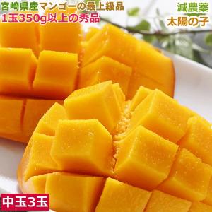 太陽のタマゴ 宮崎完熟マンゴー 大玉A3Lサイズ 約450g×2玉 箱入り 糖度