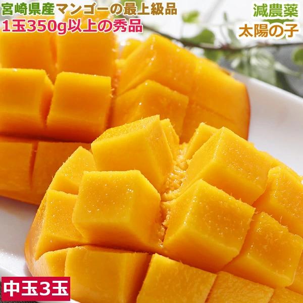 マンゴー 糖度16度 減農薬 太陽の子 中玉3玉 約900g~1kg 化粧箱入 贈答用  ギフト 宮...