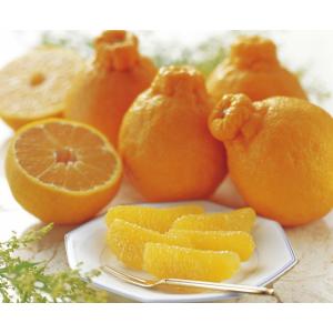 2026年2月分予約 訳あり 低農薬 熊本産 不知火(デコポン) 約10kg 小玉 産地直送 でこぽ...