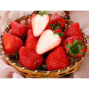 減農薬 埼玉 あまりん 章姫 紅ほっぺ いちご 10〜18粒 贈答用 ギフト イチゴ ※ ...