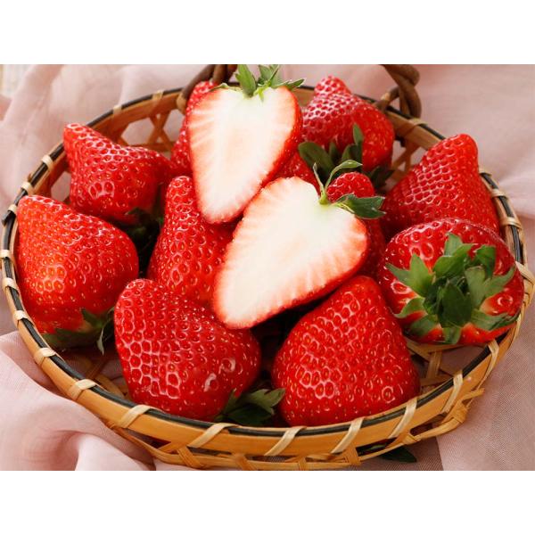 減農薬 埼玉 あまりん 章姫 紅ほっぺ いちご 10〜18粒 贈答用 ギフト イチゴ ※ ふるさと納...
