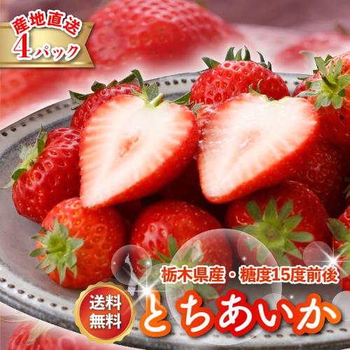 12月分予約 いちご イチゴ とちあいか フルーツ ギフト 苺 栃木県 ４パック 1080g  産地...