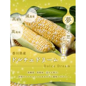 2027年6月分予約 減農薬 香川産 朝採れ ...の詳細画像1
