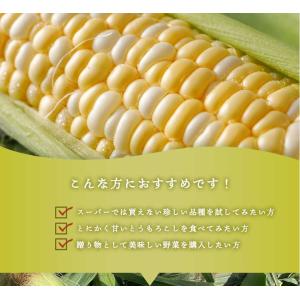 2027年6月分予約 減農薬 香川産 朝採れ ...の詳細画像2