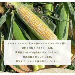 2027年6月分予約 減農薬 香川産 朝採れ ...の詳細画像3