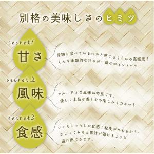 2027年6月分予約 減農薬 香川産 朝採れ ...の詳細画像4