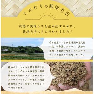 2027年6月分予約 減農薬 香川産 朝採れ ...の詳細画像5