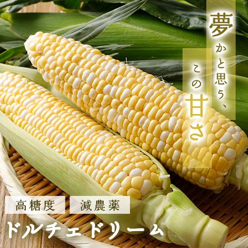 2026年6月分予約 減農薬 香川産 朝採れ 高糖度 とうもろこし ドルチェドリーム  3箱(計24...