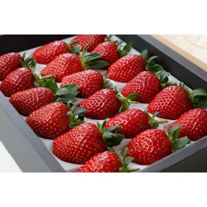 減農薬 愛媛産 黒 いちご 真紅の美鈴 400g 12〜18粒 化粧箱入 苺 イチゴ 産地直...