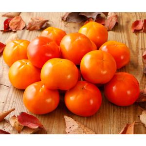 2025年11月分予約 低農薬 和歌山 富有柿 約4kg 贈答用 10個~16個位 秀品 産地直...