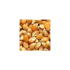 ポップコーン 25kg : レース鳩・小鳥飼料 専門サイト - 通販 - Yahoo