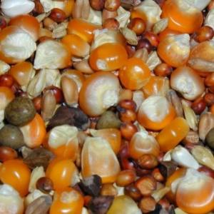 徳用◆鳩の餌◆エコノミー（磨き）鳩餌　25kg