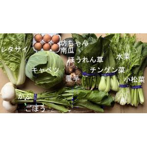 クール便で発送・九州佐賀の農家直送野菜セット・10品詰め合わせ＋こだわりのたまご