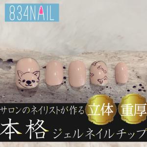 トイプードル アート ネイルチップ 絵 イラスト グッズ 雑貨 犬 ワン