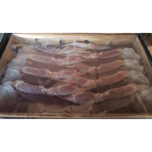 訳あり　生ずわい蟹（４Ｒ）3ｋｇ（ｋｇ7300円税別）x3箱（箱約9肩）業務用　ヤヨイ