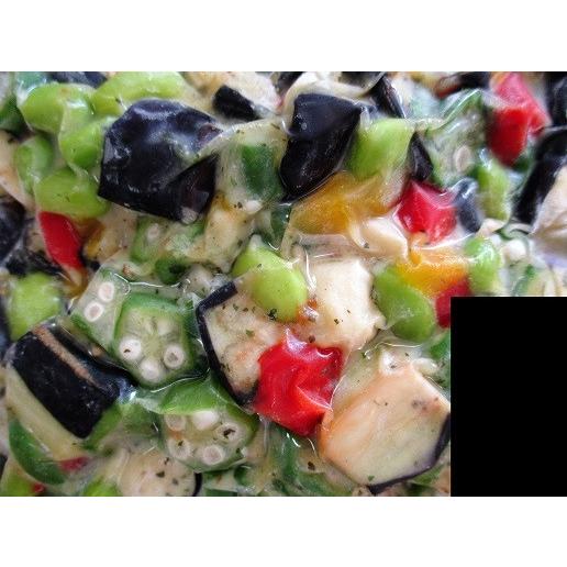 小鉢　夏野菜５種の彩り和え　500ｇx24P（P820円税別）冷凍　業務用　ヤヨイ