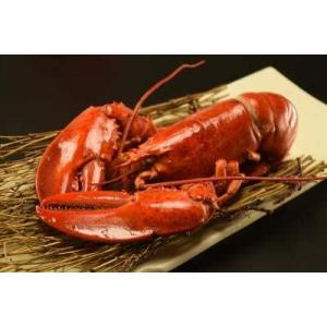 カナダ産　UHPオマールロブスター　姿　28尾（尾350/400g）尾1,690円税別　かつ冷　業務...