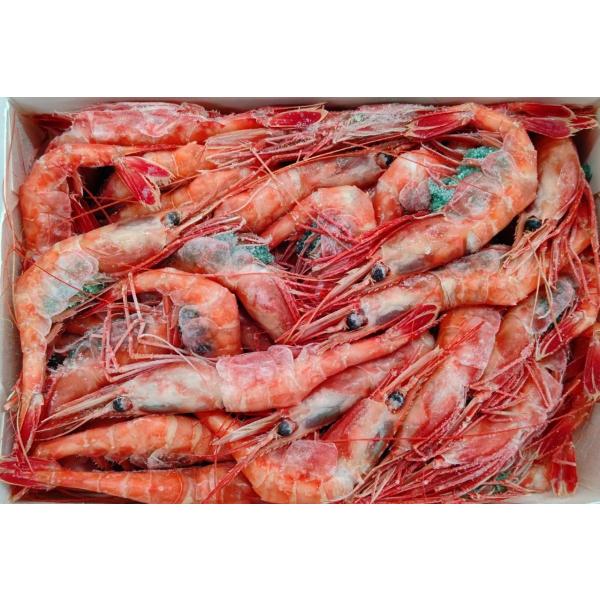 ロシア産　天然冷凍甘海老　2L　1kgx12P（P5,000円税別）甘えび　刺身用　業務用　ヤヨイ