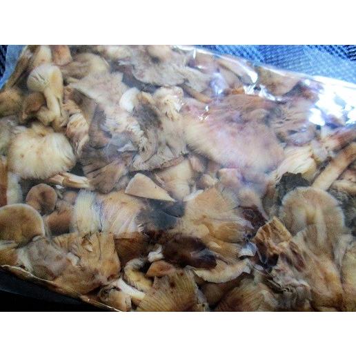 中国産　もたし茸水煮　1ｋｇ×15Ｐ（Ｐ1,690円税別）業務用　ヤヨイ　きのこ