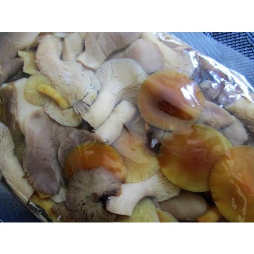 中国産　きのこ珍味水煮　1ｋｇ×15Ｐ（Ｐ1,210円税別）業務用　ヤヨイ　きのこ