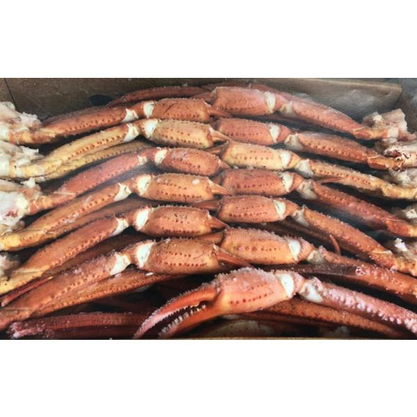 ボイルトゲズワイ蟹（Ｌ〜3Ｌ）10ｋｇ（5ｋｇ×2箱）ｋｇ3380円税別　業務用　ヤヨイ