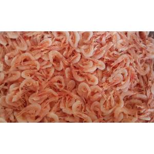 台湾産　冷凍　釜揚げ　桜海老　500ｇx24Ｐ（Ｐ2,200円税別）桜えび　業務用　ヤヨイ