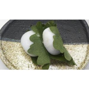 冷凍和菓子　かしわ餅　大　12個（個50ｇ）x24Ｐ（Ｐ780円税別）冷凍　業務用 ヤヨイ