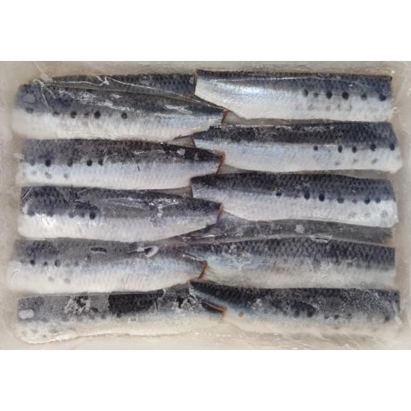 国産　いわしフィーレ（レモン〆） 20枚×20P（P1,950円税別）　業務用　ヤヨイ　限定品