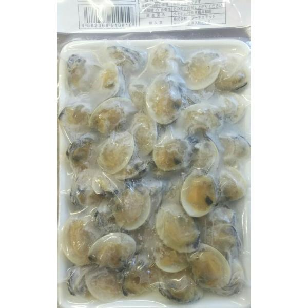 殻付（片貝）ボイル蛤（はまぐり）500g（30〜45個）x20ｐ（Ｐ500円税別）業務用　ヤヨイ　激...