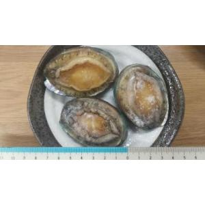 生食用　殻付蝦夷鮑1kg（個40〜50ｇ）x10Ｐ（P3900円税別）限定品　業務用　ヤヨイ　あわび...