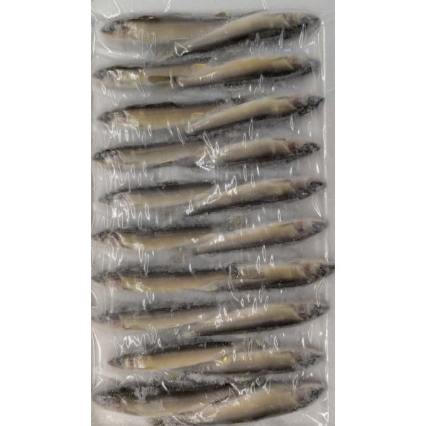 国産　厳選　稚あゆ　IQF　約10cm　20尾×20P（P1,430円税別）冷凍　業務用　ヤヨイ