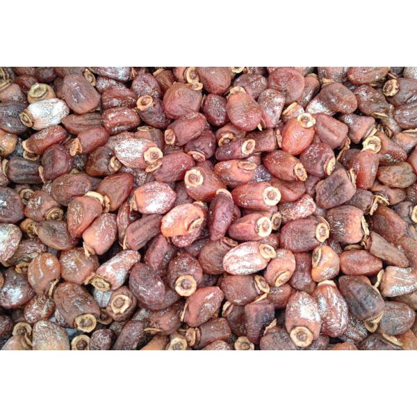 訳あり　国産（長野県産）　干柿（加工用）バルク　15Kg（Kg2,990円税別）業務用　ヤヨイ