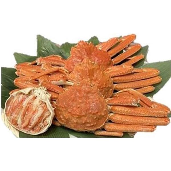 北海道産　ボイルズワイ蟹　姿　6尾　3Kg（kg3,510円税別）×3箱　冷凍　業務用　ヤヨイ
