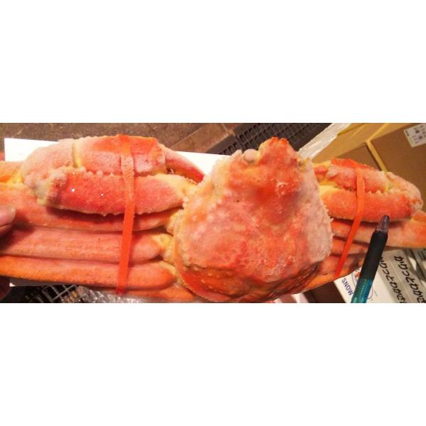 カナダ産　ボイルずわい蟹　姿　3kg×2箱（箱5尾）kg4,500円税別　他サイズも選べます。限定品...