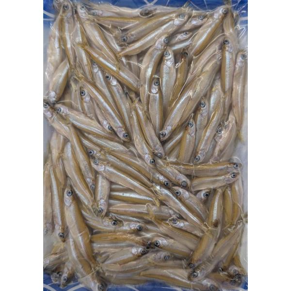 国産　天然わかさぎ　小　500ｇx20袋（袋1,560円税別）尾約6-8cm　冷凍　業務用　ヤヨイ