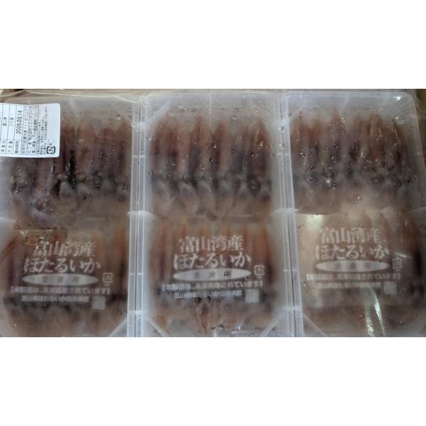 刺身用　富山県　生ほたるいか　36匹x20Ｐ（Ｐ1,950円税別）冷凍　業務用　ヤヨイ