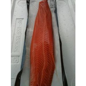 チルド冷凍 刺身サーモン トラウト 10kg入り 約本背 腹 ｋｇ3180円税別 業務