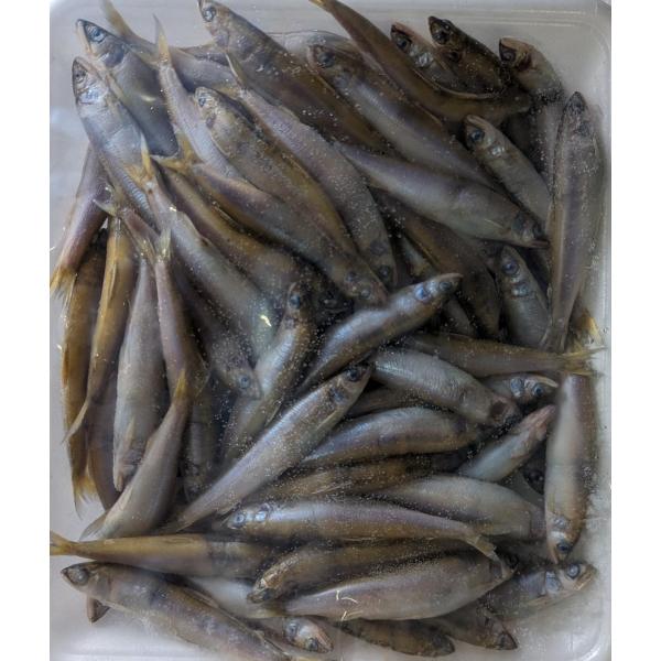 国産（滋賀県）天然若鮎（小）500ｇ(約85-90匹前後）x20袋（袋1,800円税別）稚鮎　業務用...
