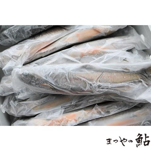国産　養殖　冷凍　いわな　1kgx10枚（枚3,050円税別）　業務用　ヤヨイ