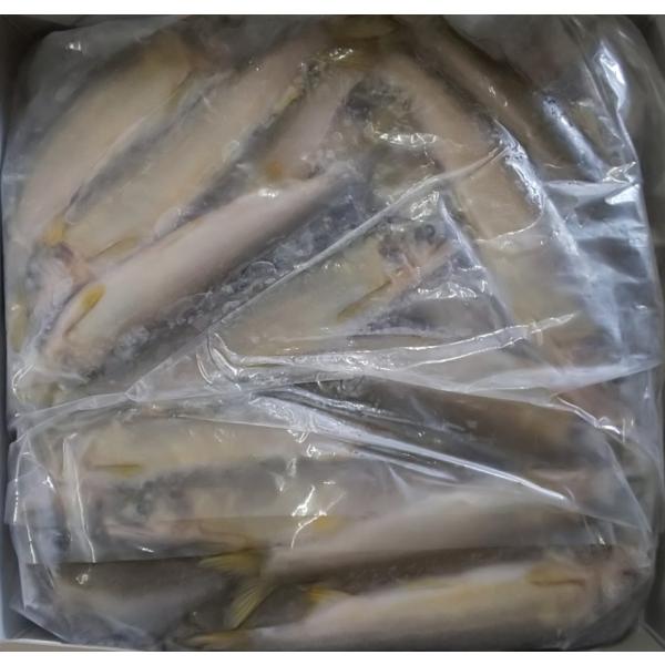 国産（愛知県産）　冷凍あゆ　1kg×10P（P25尾）P2080円税別　鮎　一級品　業務用　ヤヨイ